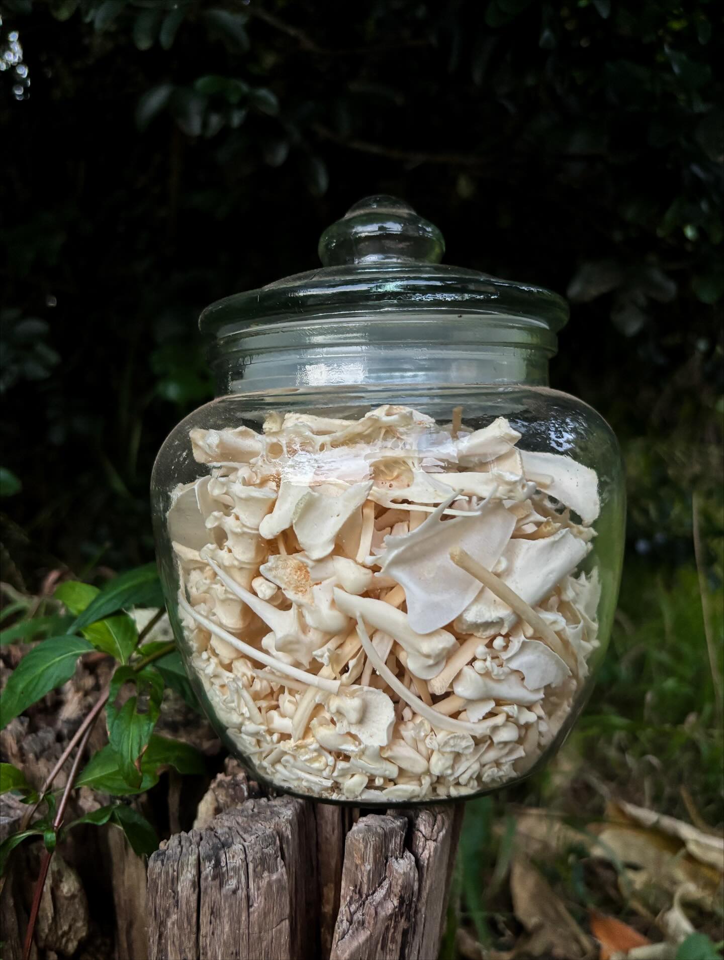 Booney — Jar of bones.