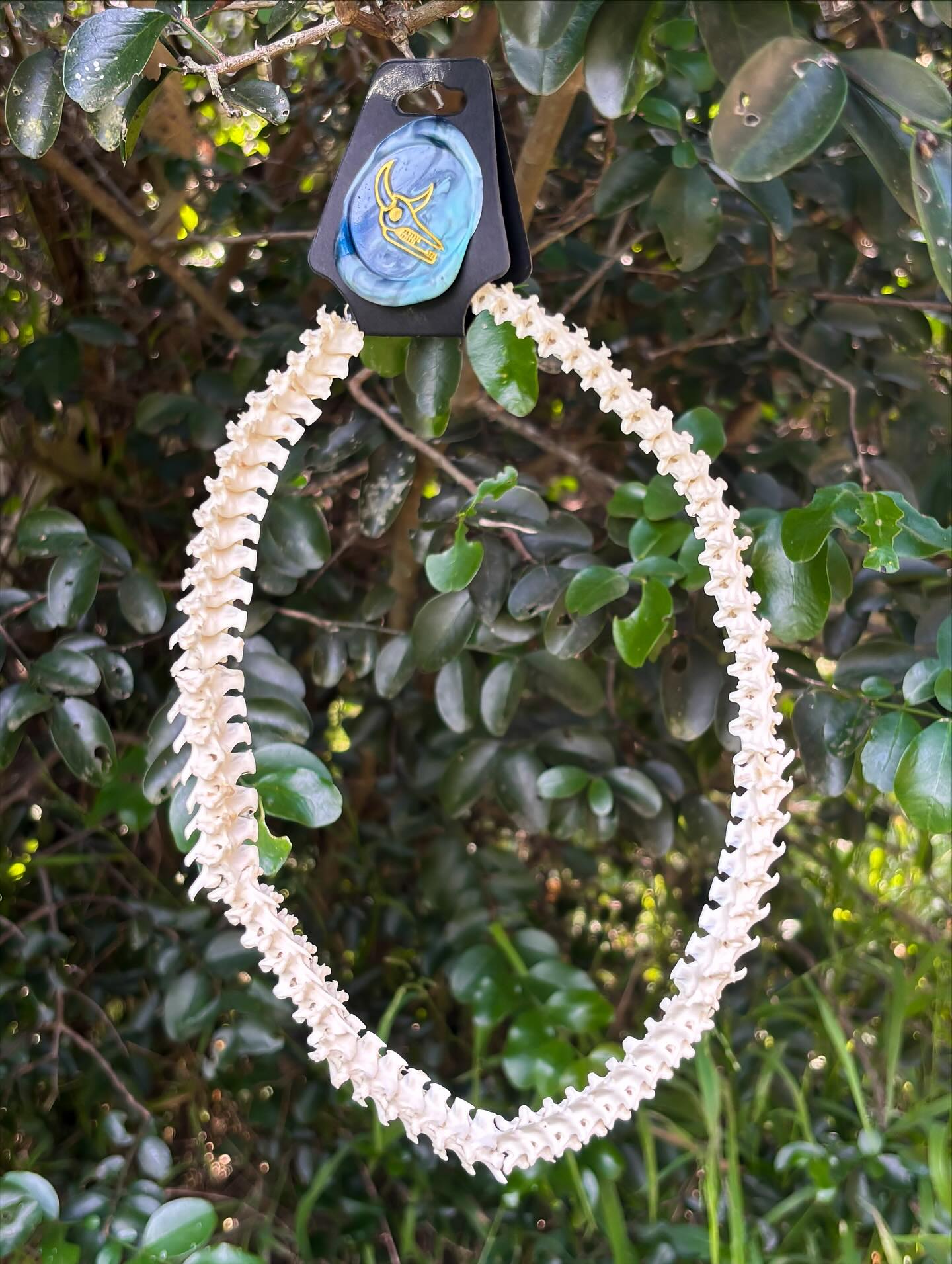 Snèk — Snake spine necklace.