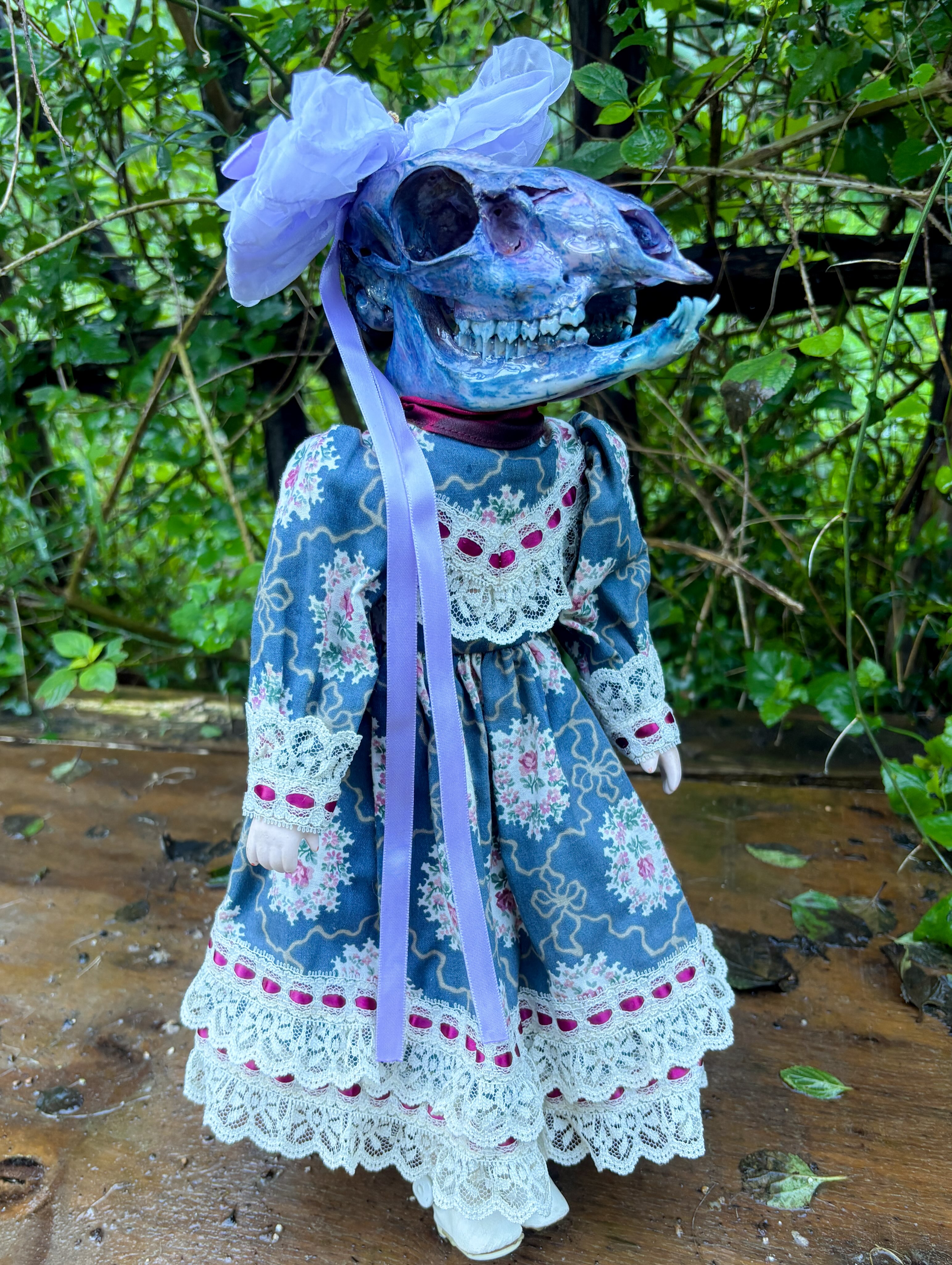 Dotty — A dyed steenbok skull on a porcelain doll, dressed in blue with delicate lace and ribbon.