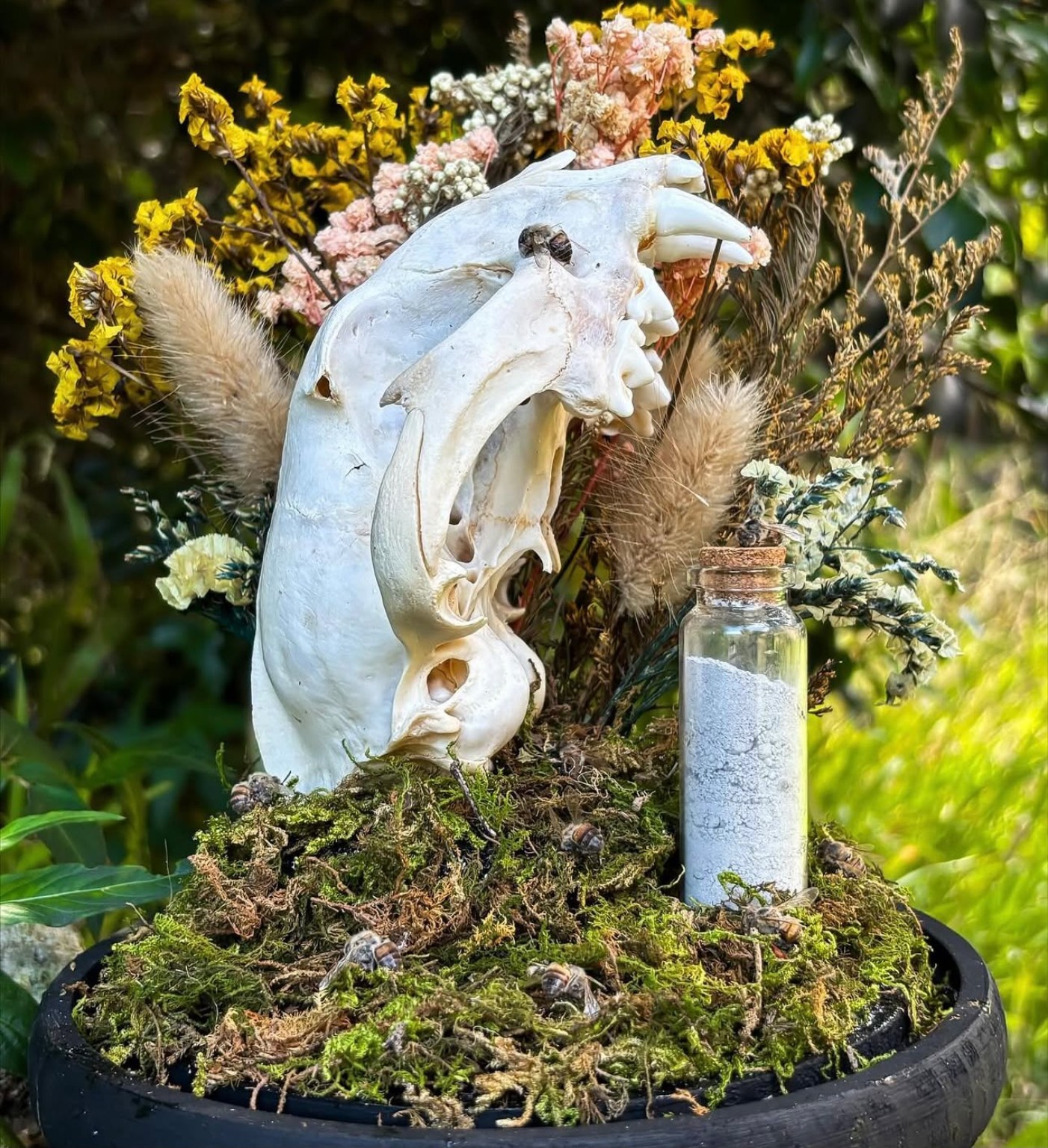 A memorial display with a skull, dried flowers, moss and a corked glass keepsake vial.