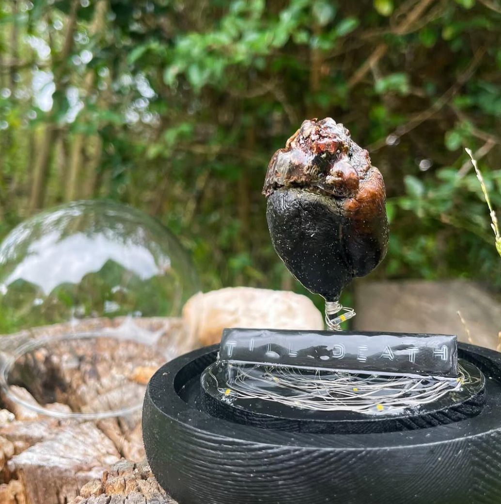 A small preserved-heart keepsake surrounded by flowers and natural details.
