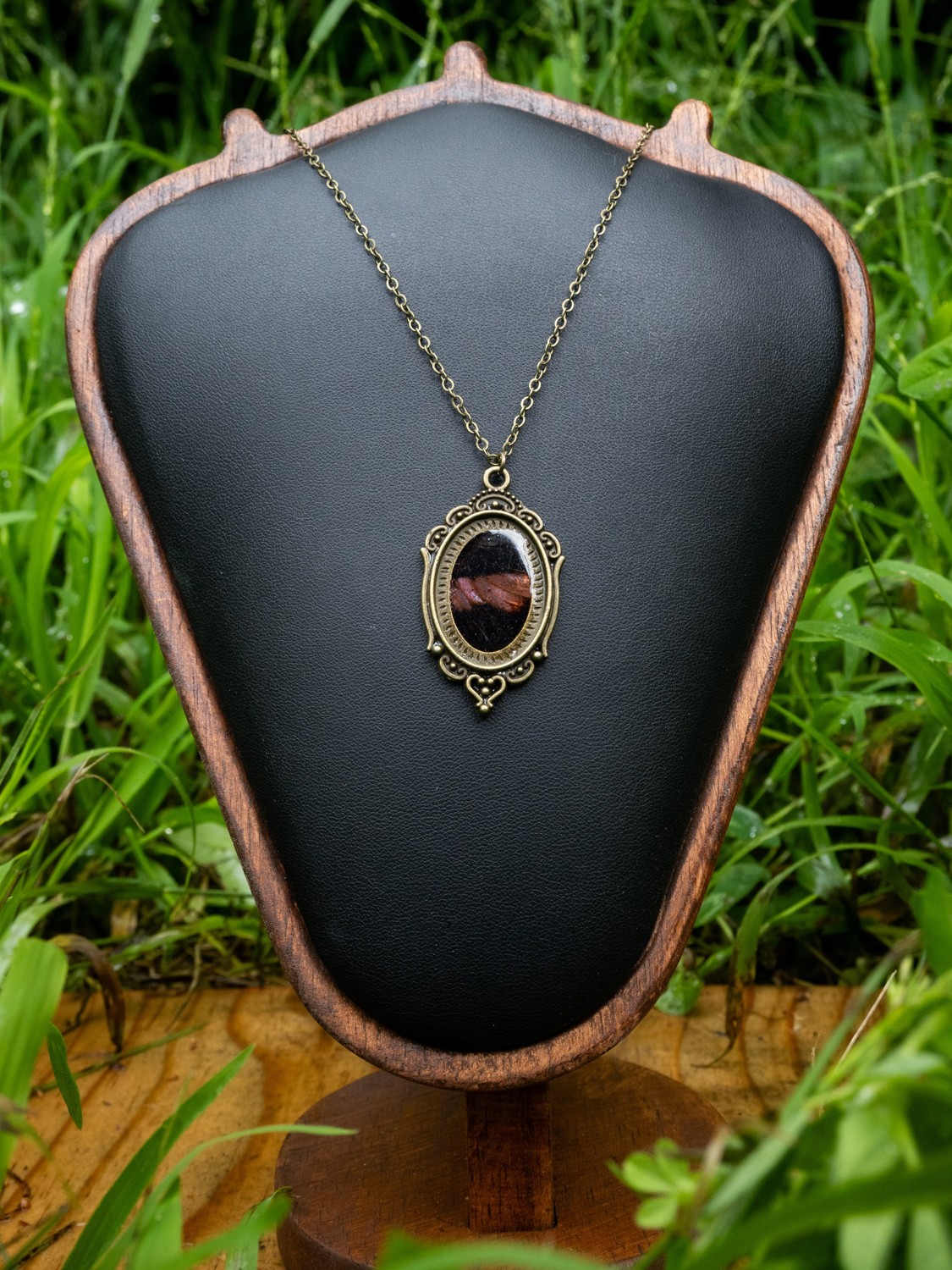 Butterfly wing necklace · I. A dark butterfly wing with a pink band in an ornate oval pendant.