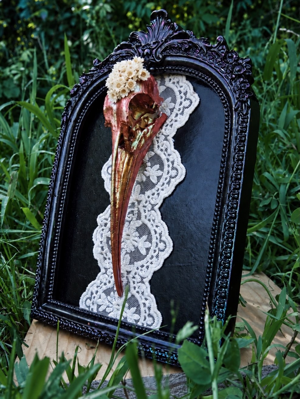 Evie, a chameleon-painted Hadeda skull in an ornate black frame.