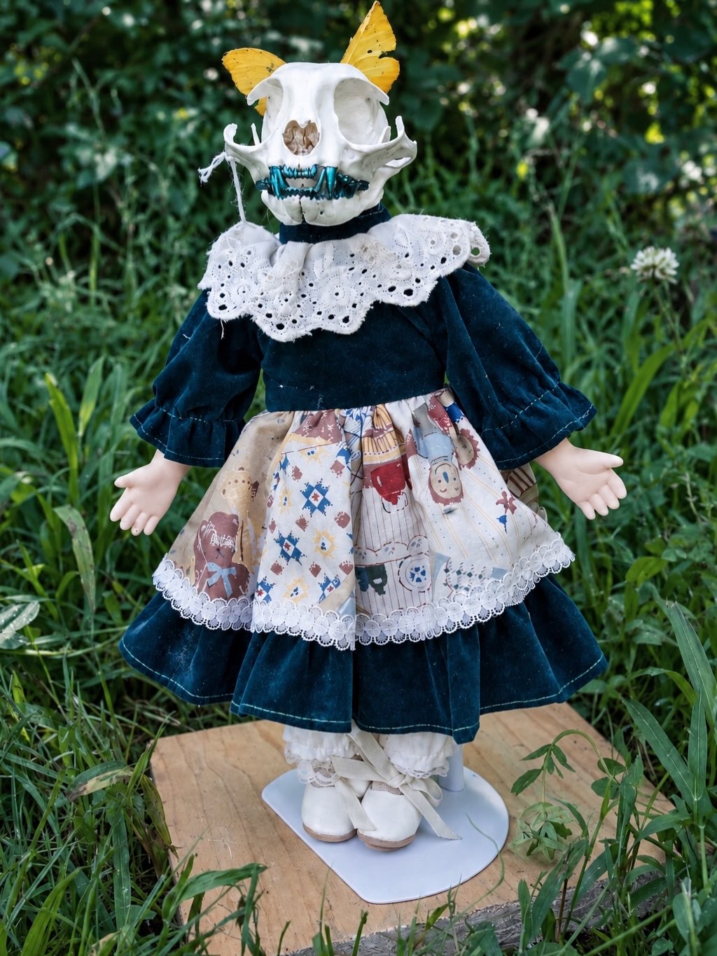 Lea — A domestic cat skull on a vintage porcelain doll.