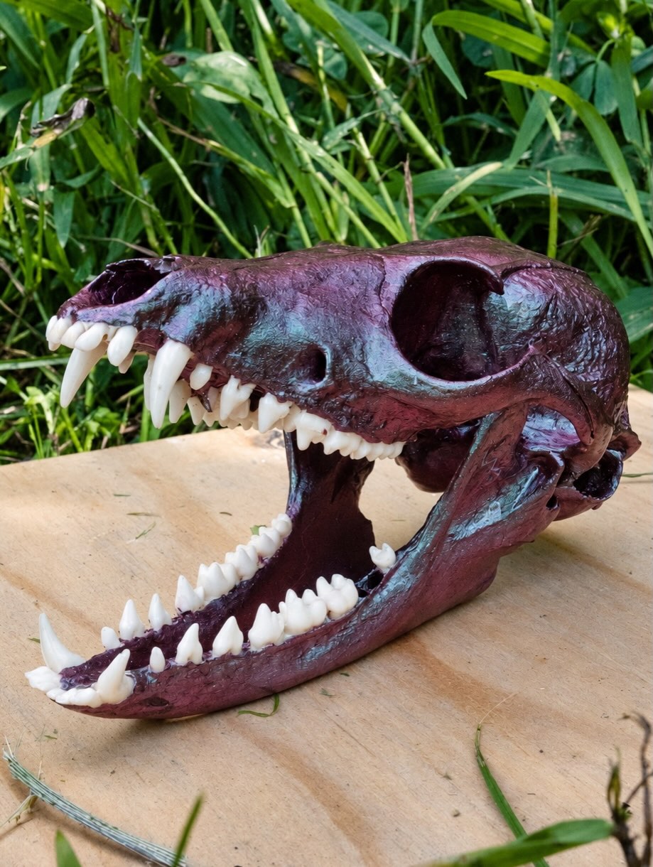 Mayo, a fox skull with purple-to-teal chameleon paint.